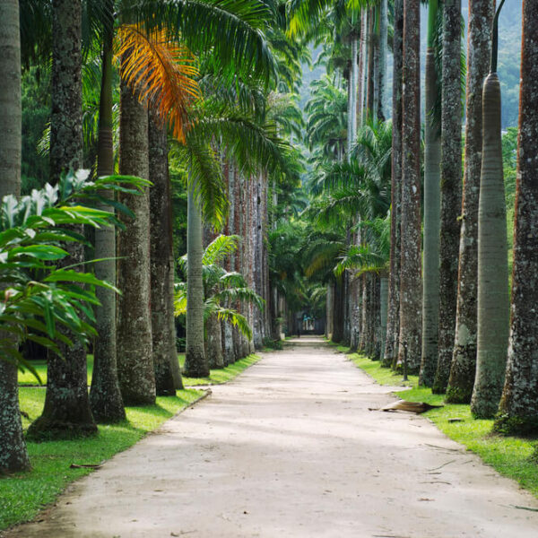 Jardim Botânico + Experiência Gourmet